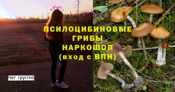 круглые Армянск