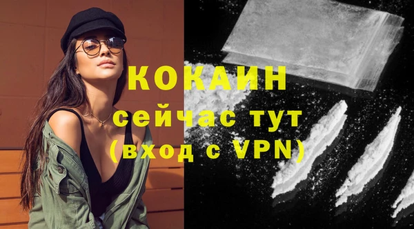 не бодяженный Арсеньев