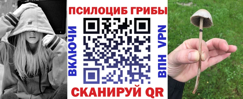 Псилоцибиновые грибы мухоморы  Знаменск 